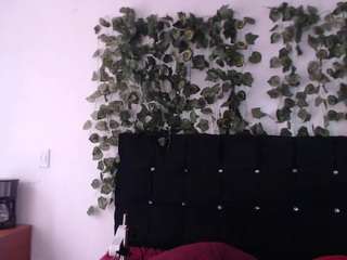 gloriousrabbitrefuse787 Porn