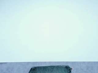 seleene webcam