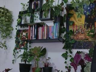 carolprince Live Webcam on CamSoda