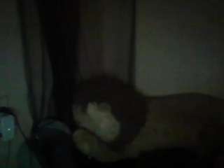  hannahkisses chat room