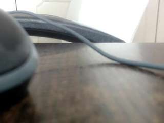 toro2608 live cam profile