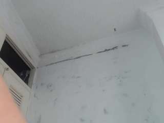 toro2608 live cam profile