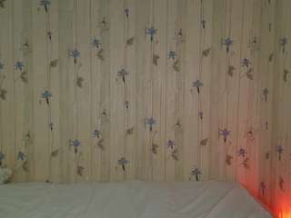 elinocean's live room