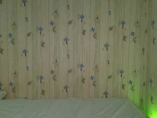elinocean
