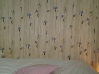 elinocean