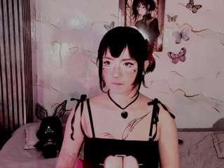 ludovika live cam preview