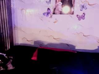 ludovika live cam preview