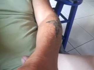 trustedpetsittersnaples webcam