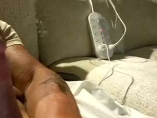 trustedpetsittersnaples webcam