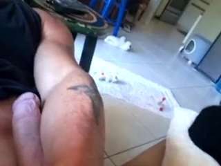 trustedpetsittersnaples webcam