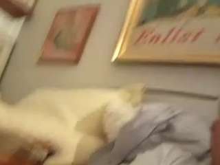 trustedpetsittersnaples