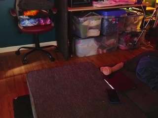 msbutterworths webcam