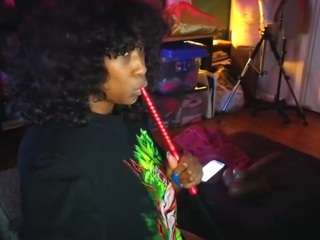 msbutterworths webcam model