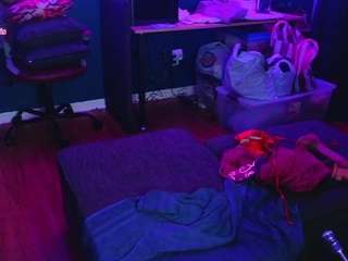 msbutterworths webcam