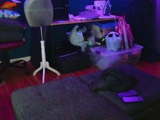 msbutterworths webcam