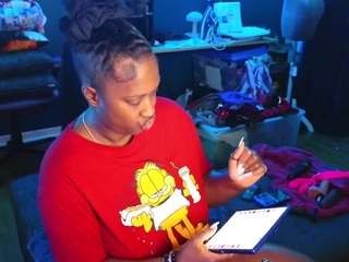 msbutterworths webcam