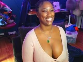 msbutterworths webcam