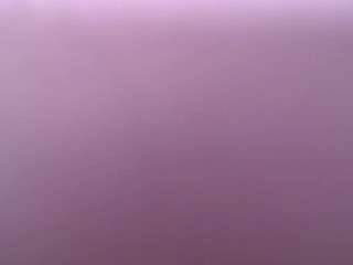 salomecastro99