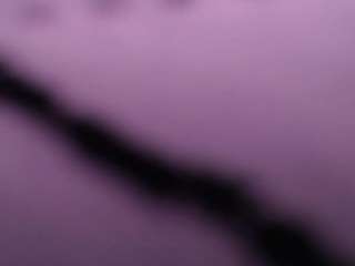 salomecastro99