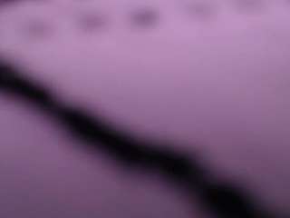 salomecastro99