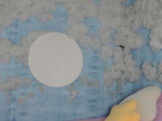 melaniebrown1 webcam