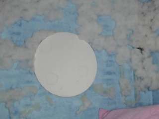 melaniebrown1 webcam