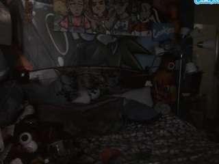 HamTheKing