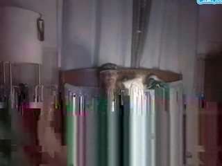 go2ham510 webcam