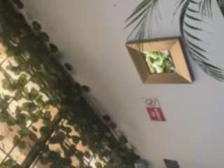assiia