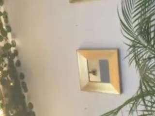 assiia webcam