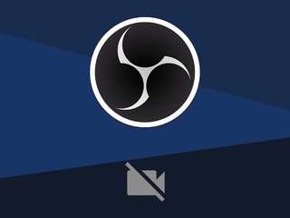 jupiterfox webcam
