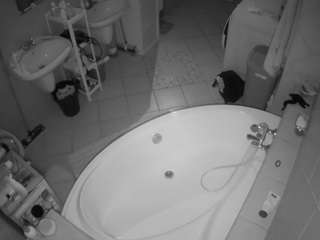  live cam