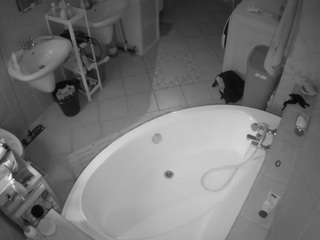 voyeurcam-julmod... Live Webcam on CamSoda