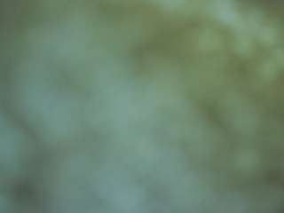 Julmodels Bathroom 1st Floor-2