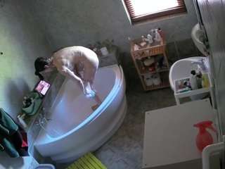 voyeurcam-julmodels-bath-1st-2's CamSoda show and profile