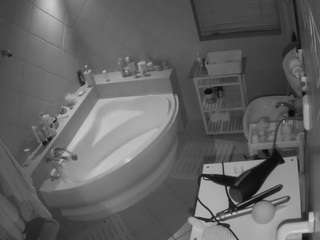 Julmodels Bathroom 1st Floor-2