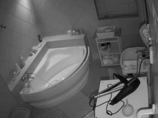Julmodels Bathroom 1st Floor-2