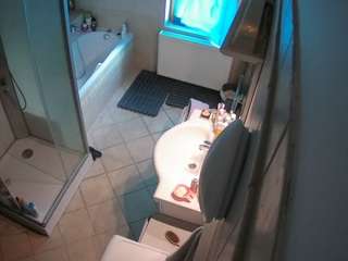 Julmodels Bathroom 2nd Floor-2 live cam preview