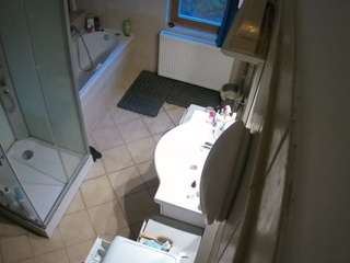 Julmodels Bathroom 2nd Floor-2 live cam preview