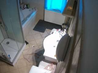 Julmodels Bathroom 2nd Floor-2 live cam preview