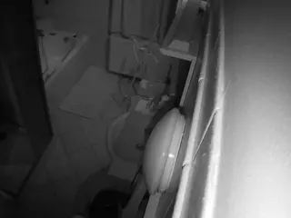 Julmodels Bathroom 2nd Floor-2's Live Sex Cam Show