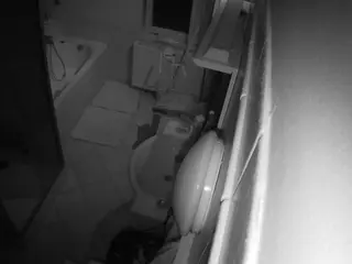 Julmodels Bathroom 2nd Floor-2's Live Sex Cam Show