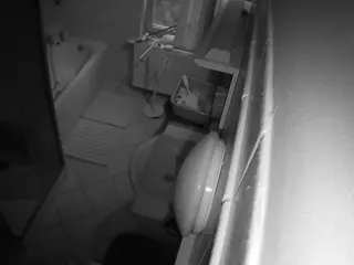 Julmodels Bathroom 2nd Floor-2's Live Sex Cam Show