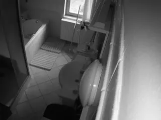 Julmodels Bathroom 2nd Floor-2's Live Sex Cam Show