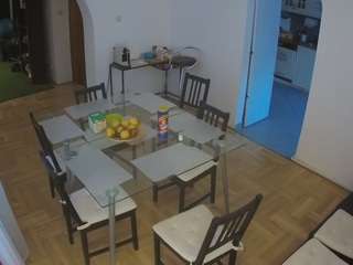 voyeurcam-julmodels-dining