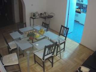 voyeurcam-julmodels-dining