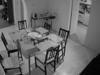 voyeurcam-julmodels-dining Live Voyeur Cams camsoda