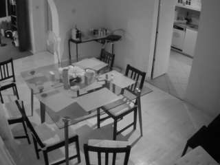 Voyeur House To camsoda voyeurcam-julmodels-dining