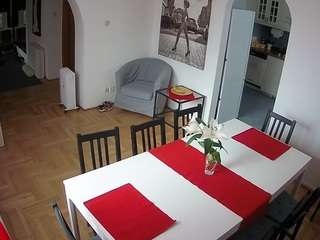 voyeurcam-julmodels-dining