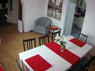 voyeurcam-julmodels-dining
